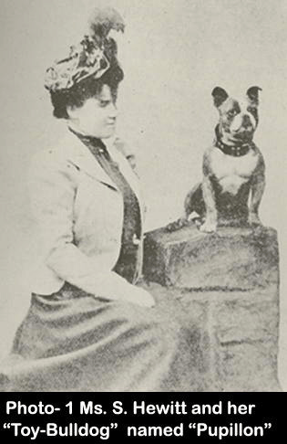 artigos e vendas bulldog francês pet cão cachorro filhote