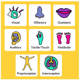 Sensory differences