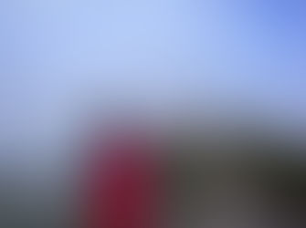 Dakota’s Guide to Traveling - Everything He Thinks You Should Know