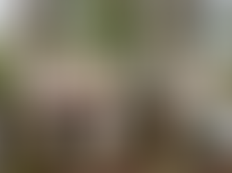 Great Smoky Mountains National Park - The Most Visited