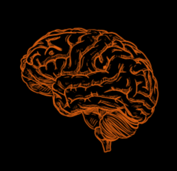 Sharpen Your Mindset Logo