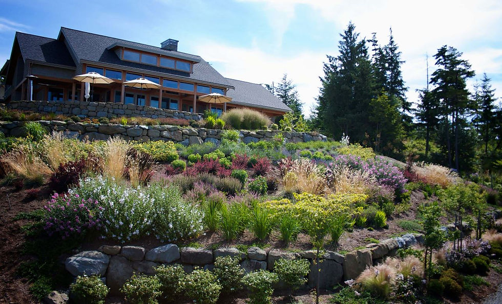 planting hillside.jpg