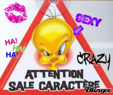 sale_caractère_2.gif