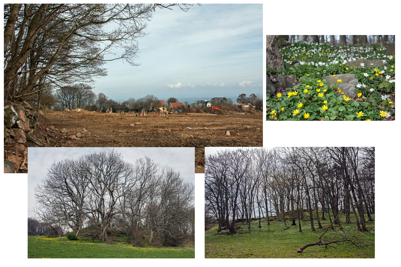 Blossalyckan tomtområde - Arild
