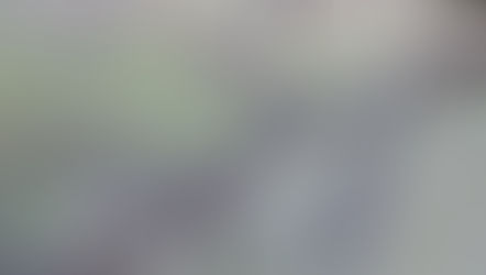 [SOLVED]: Help! Thorns Are Causing Constant Flat Tires; What Can I Do?