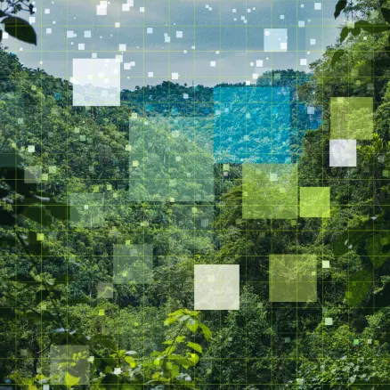 The Positive Effects Of Nature