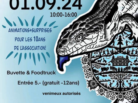 Super journée à la bourse aux reptiles de Villeneuve
