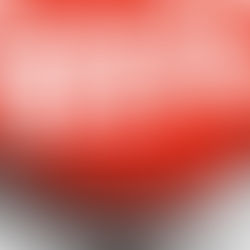 Nos actions pour les reptiles en Suisse