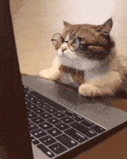 Source: Giphy