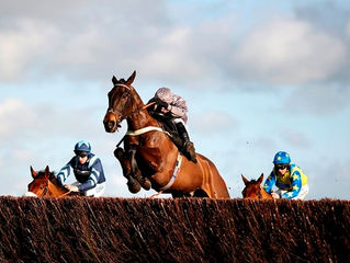 National Hunt Season - The basics