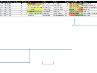 Racing Stats Explanation and Todays Stats