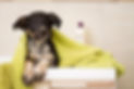 AdobeStock_402192306.jpeg
