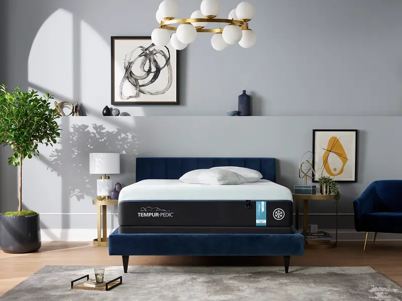 Macon and Robins Bed & Mattress Middle Mattress Retailer