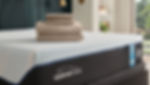 TemperPedic2-01.jpg
