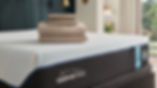 TemperPedic2-01.jpg