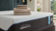 TemperPedic2-01.jpg