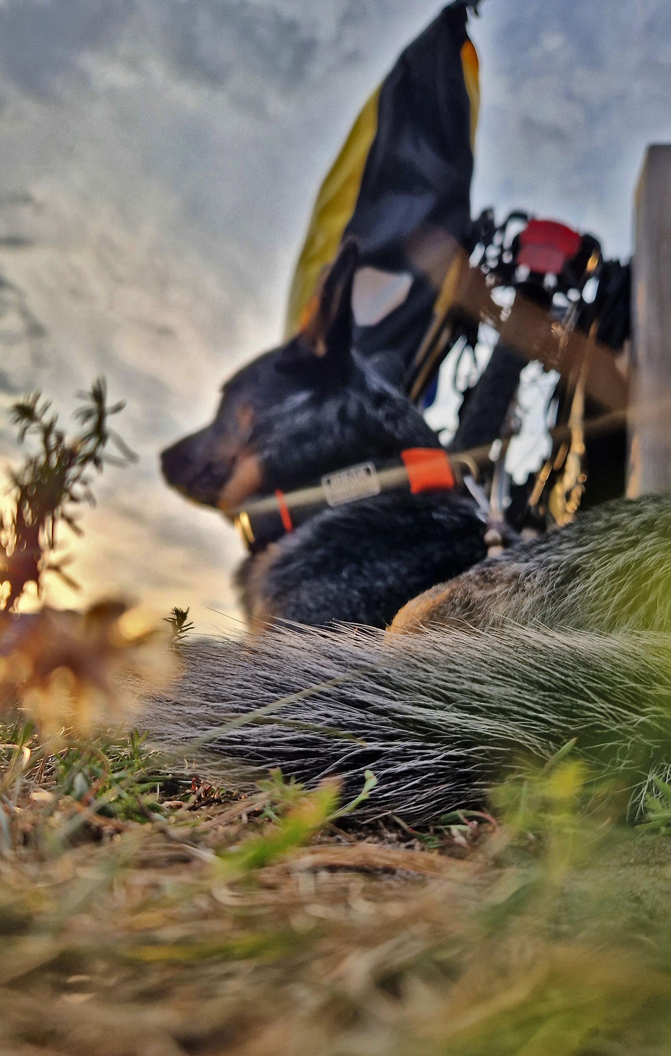 End of the day, end of the journey – Mrok watching the sunset by our bikes.