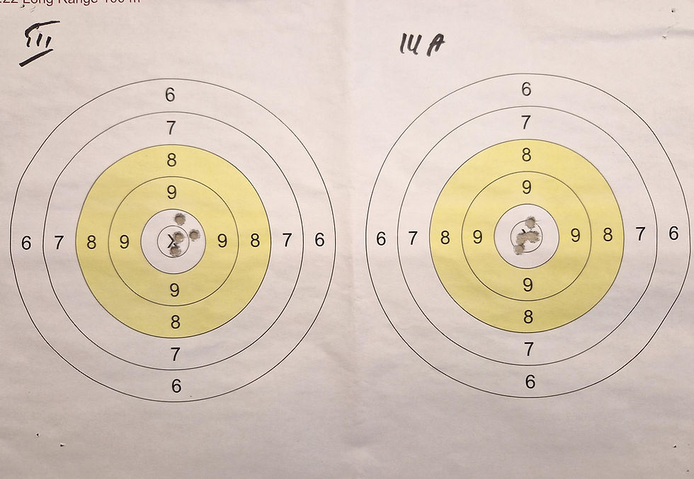 Verified zero for .22 LR rifle.
