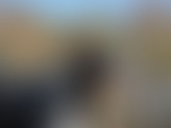 Mrok the Australian Cattle Dog resting on a sunny pier at Lake Budzisławskie, eyes closed