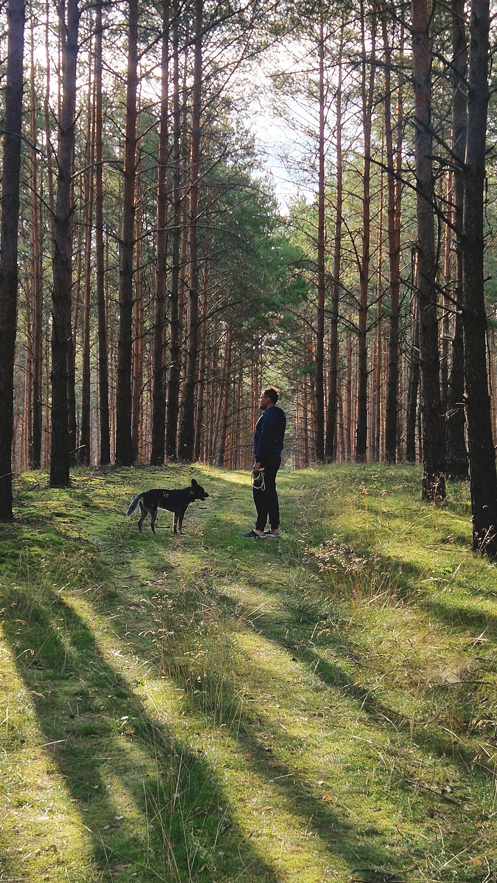 Everyone still asleep, while we’re out walking to feel the morning dew on our paws.