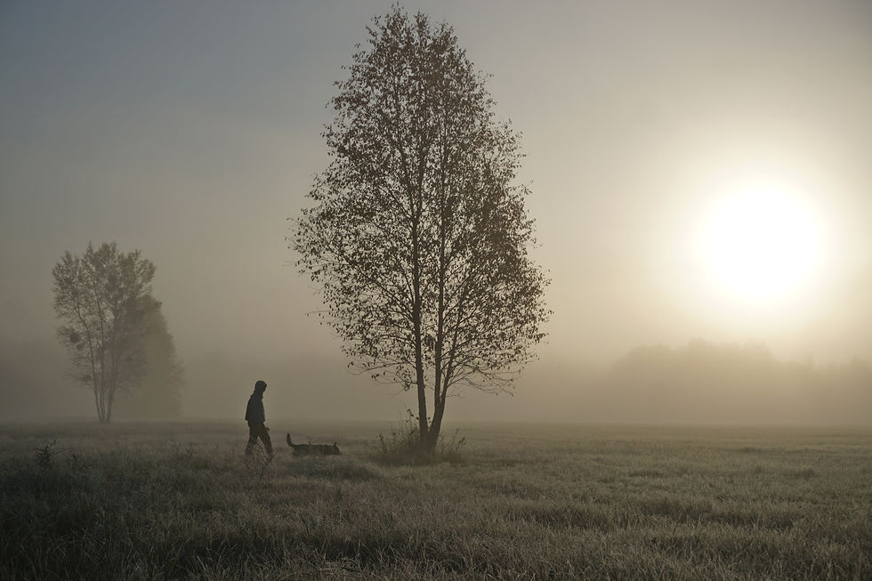 Early morning on the Biebrza marshes. The mist is still low, the grass is wet, and the night left behind a full archive - beaver, elk, fox, otter. He's reading all of it. I'm just along for the walk.