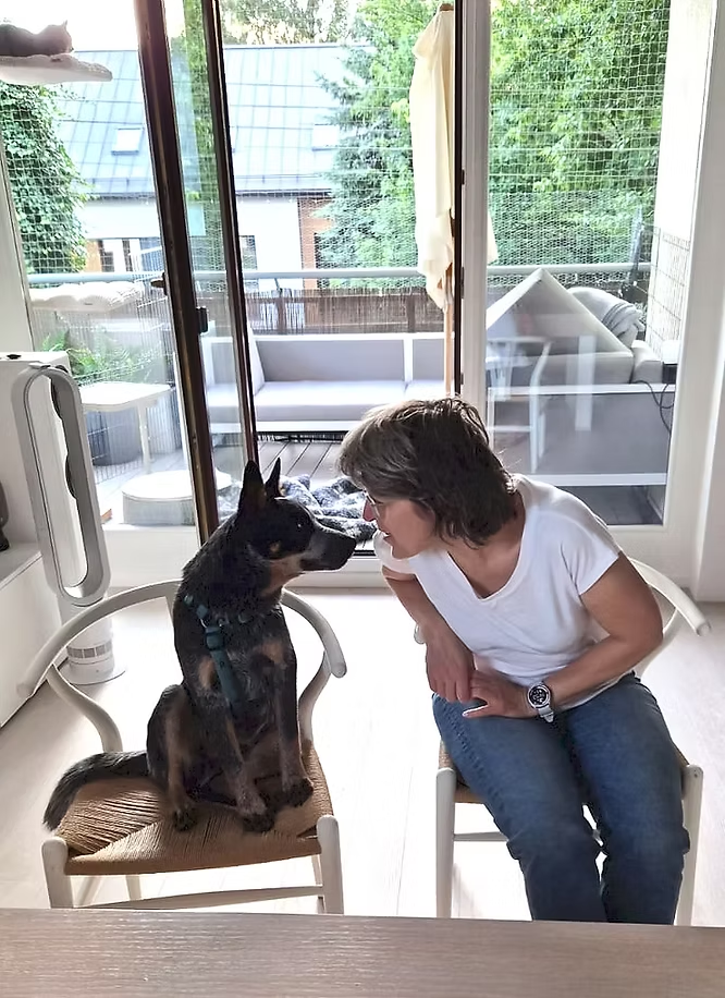 Many of us believe that a dog understands what we say better than a human does.