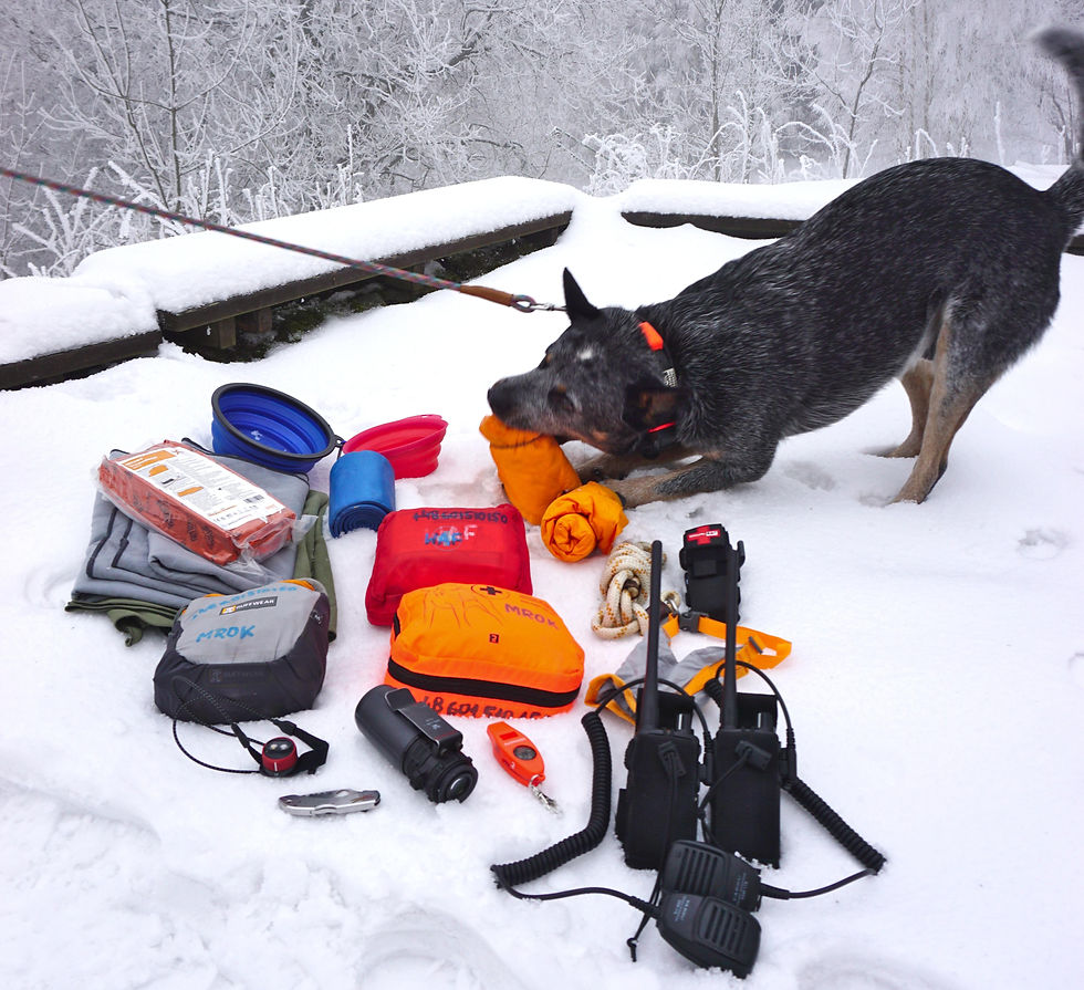 While we were taking photos for the Dog Backpack gear article, Mrok was actively “helping” :)