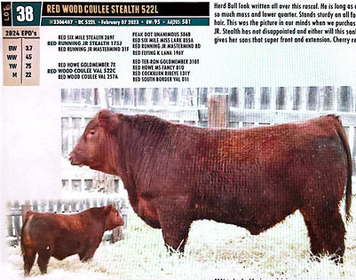 CamScanner 03-07-2024 22.24_1.jpg
