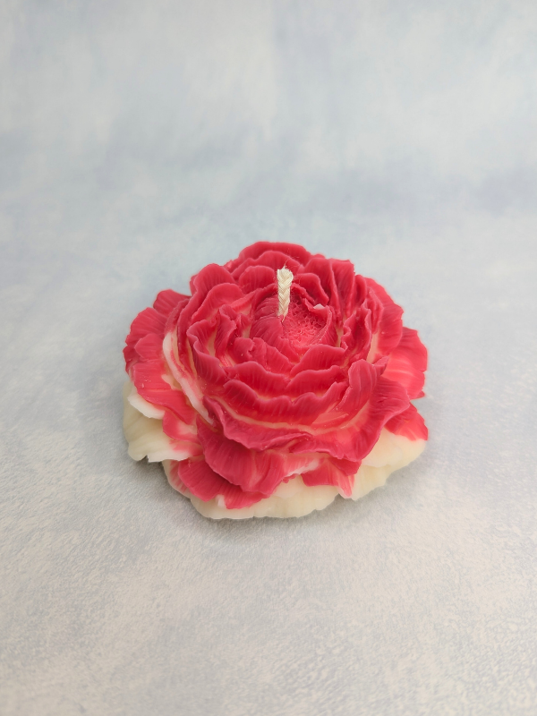 Miniaturbild: Kerze: Rosenlicht