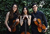String trio musicians with violins and cello posing together in garden greenhouse venue.