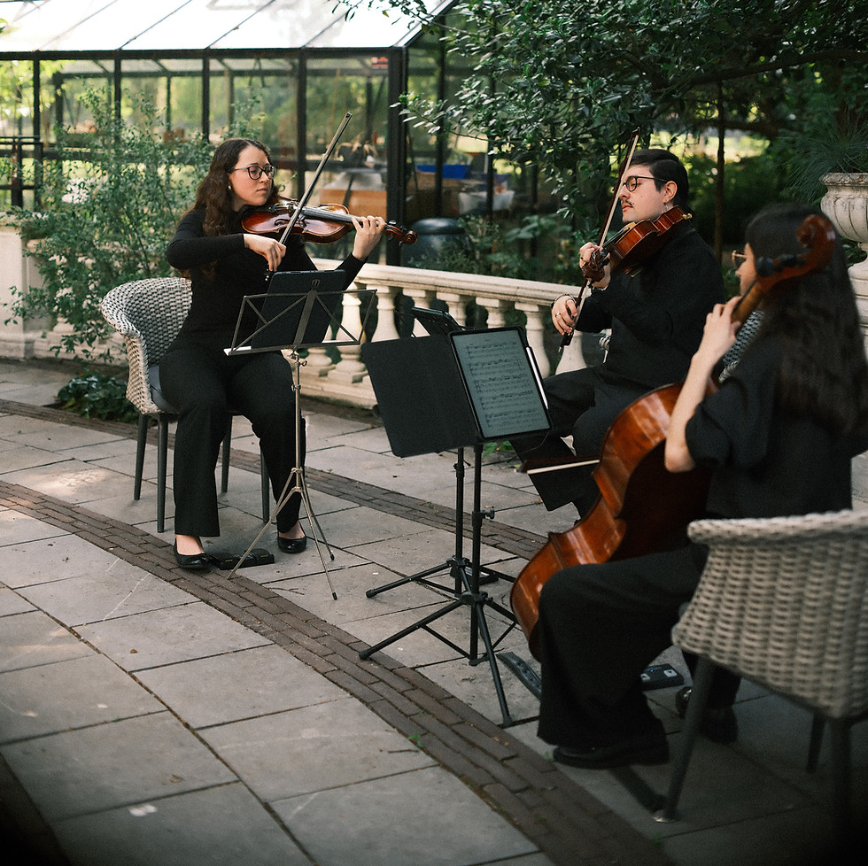 Live classical string trio for weddings, private events and outdoor concerts.