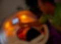 _MG_2064.jpg