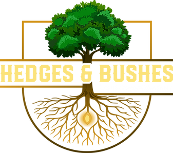 “Before and after lawn edging improving home curb appeal Columbus OH”