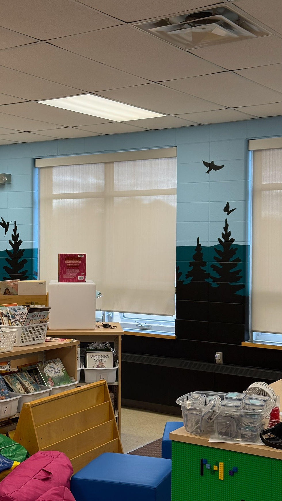 Whitehorne ES Library4
