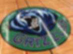 David Suzuki S.S. Grizzlies Center Court 2