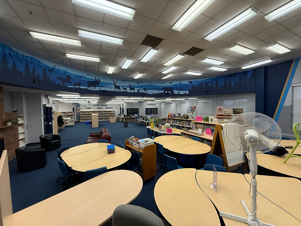 Homestead ES Library 1