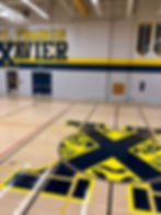 St. Francis Xavier C.C.S. Tigers Center Court 2
