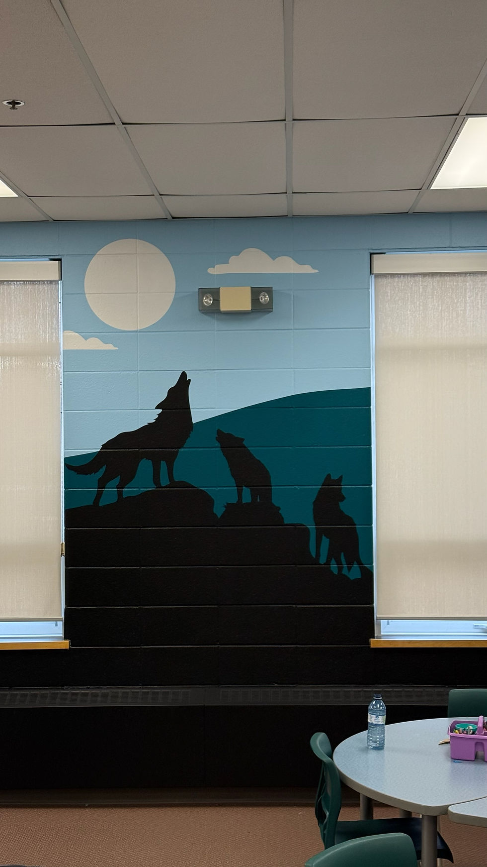 Whitehorne ES Library5
