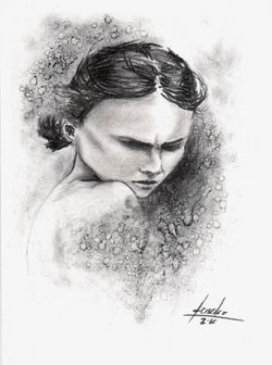 Imagen-(25)