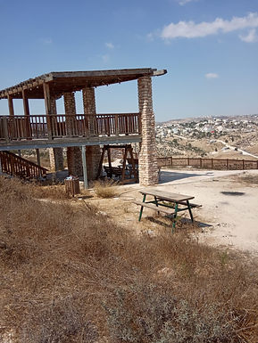 שמעיה צרי