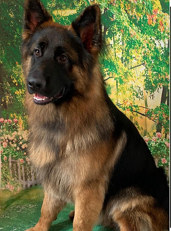 196bb685-2eed-48f3-9e31-4b0423a77d46.jpg
