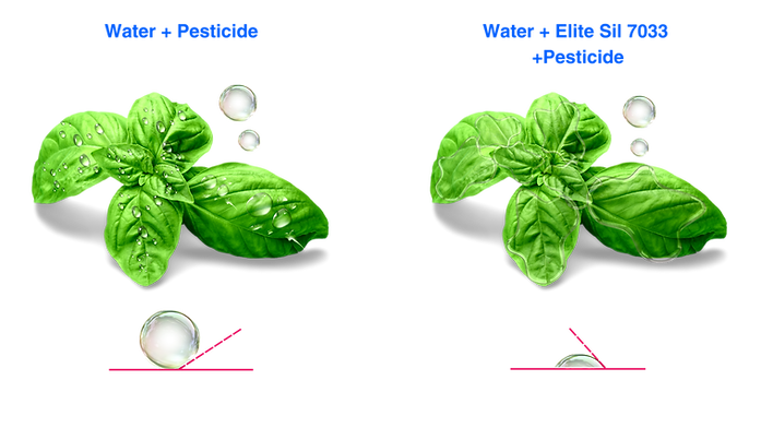 Adjuvant-graphics_edited.png