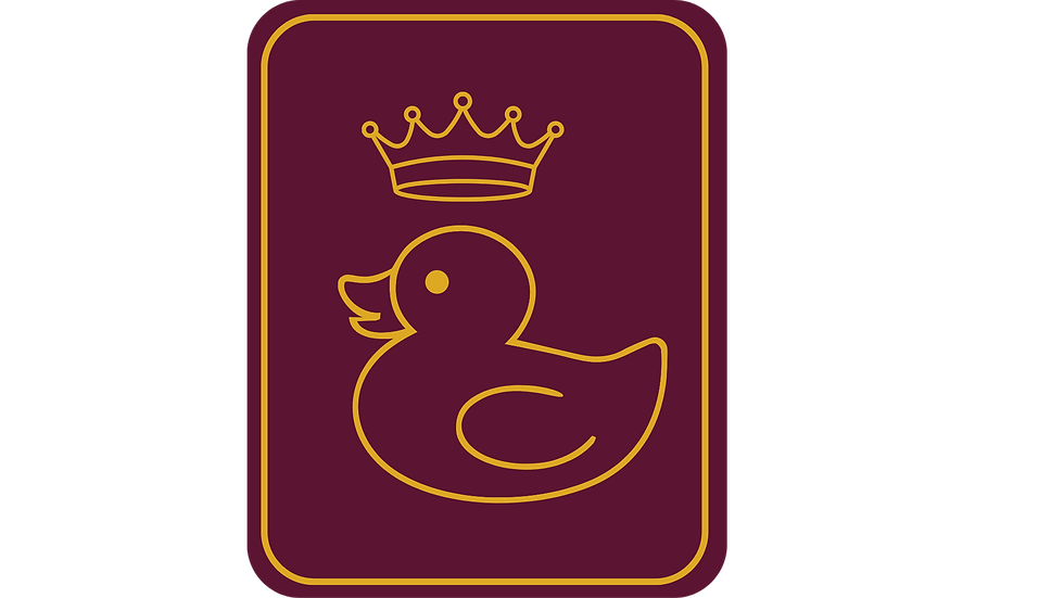 LuckyduckyCastlebanner (1).png