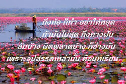ถึงท้อก็ทำ อย่าได้หยุด.jpg
