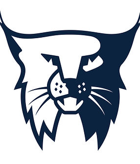 Bobcat_Head_blue_RGB.jpg
