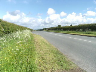Virtual Lands End to John O'Groats .... Week 5