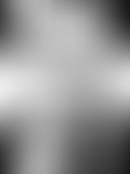 RECKLESS LIFE: The Guns and Roses saga. Told in Graphic book form-Jim McCarthy and Marc Olivent..