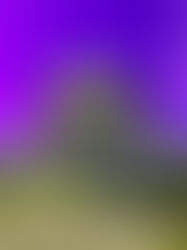 I do love to be beside the...