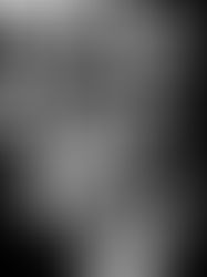 RECKLESS LIFE: The Guns and Roses saga. Told in Graphic book form-Jim McCarthy and Marc Olivent..