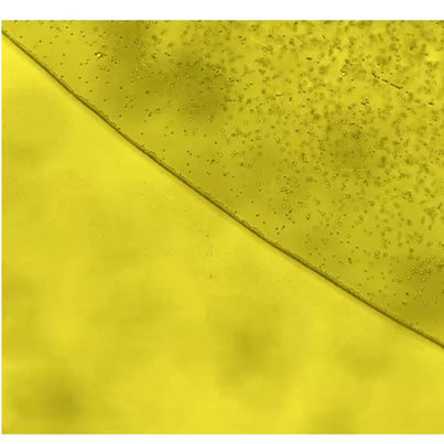 Dynamical Clustering and Band Formation of Particles in a Marangoni Vortexing Droplet